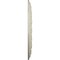 Ekena Millwork Dublin Ceiling Medallion (Fits Canopies up to 5 1/8"), 17 7/8"OD x 3 5/8"ID x 1 1/4"P, Clear Yellow CM17DUCYF - alternate 3